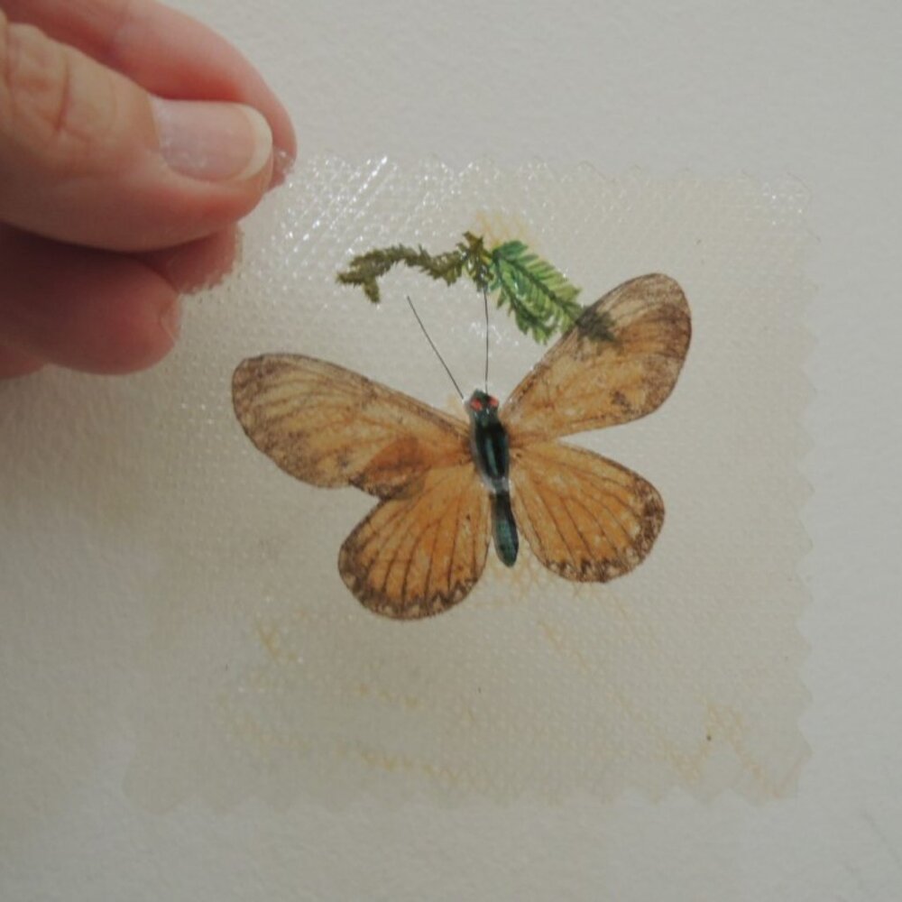 Real Butterfly Encapsulated in Pressed Acrylic Vtg 60s Insect Taxidermy Specimen